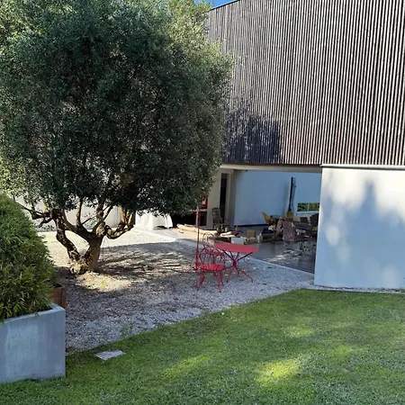Beautiful Under Pine Trees Heated Pool