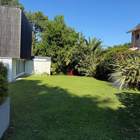 Beautiful Under Pine Trees Heated Pool Biscarrosse